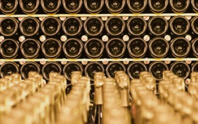 Cómo almacenar correctamente un vino blanco ecológico en casa